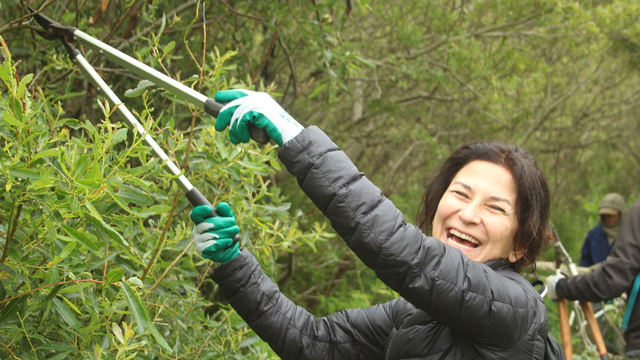 A volunteer uses plant shears to trim a bush along a trail