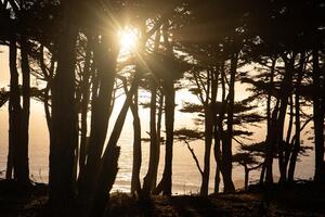 The 23rd Annual Trails Forever Dinner will be at Lands End on Saturday, September 20, 2025.