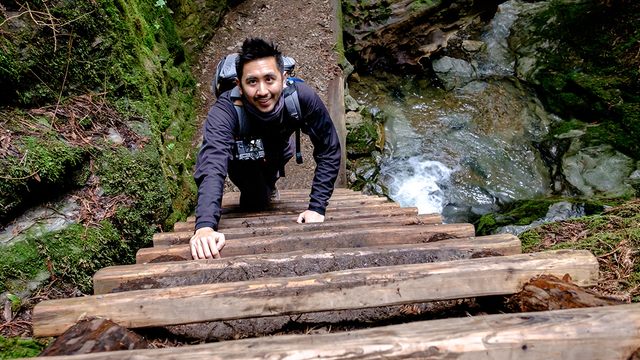 Steep Ravine Trail, Mount Tamalpais