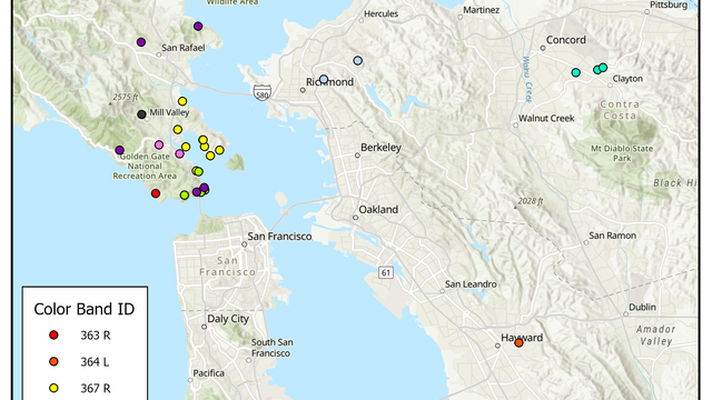Map of vultures that were resighted and reported to Bird Banding Laboratory in 2020
