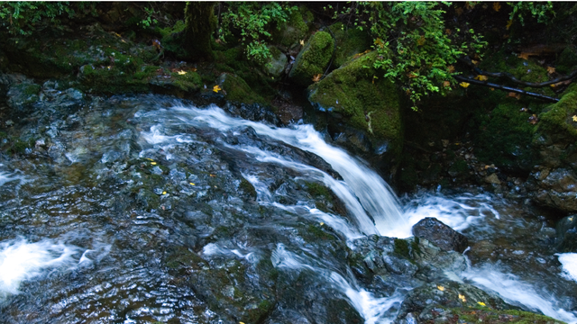 Waterfall along the Cataract Falls Trail