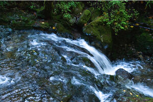Waterfall along the Cataract Falls Trail