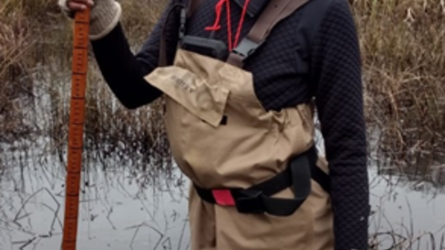 Yolanda performing California red-legged frog surveys in Marin County.