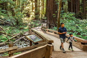 Two people walk across Bridge 2 at Muir Woods with greenery and redwood trees.
