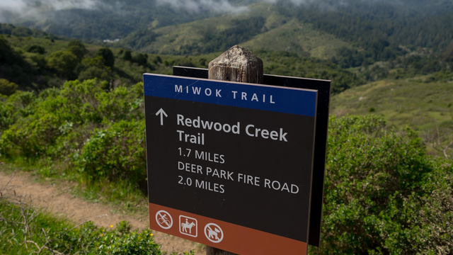 Trail signs along the Dias Ridge Trail