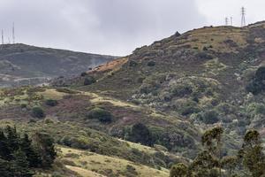 Habitat restoration volunteers work on Alta Ridge