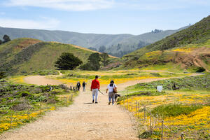 Scenic view of Mori Point Loop Trail, park visitors walk amongst wildflowers on a sunny day.