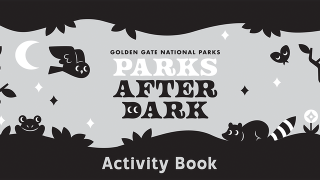 Parks After Dark activity book