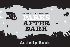 Parks After Dark activity book