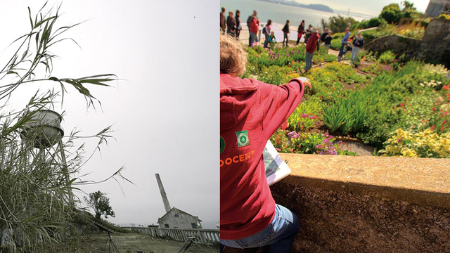 Alcatraz before and after