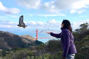 A woman in a purple coat stands at the right of the photo with arm extended. A brown & cream hawk flies with wings extended on left. Background is a partly cloudy sky with the Golden Gate bridge and San Francisco Bay, and in the foreground green shrubs