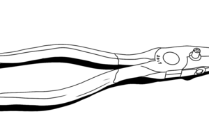 Banding pliers illustration by Lora Roame
