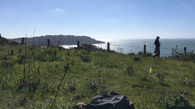 Volunteers restore a natural habitat overlooking the Pacific Ocean