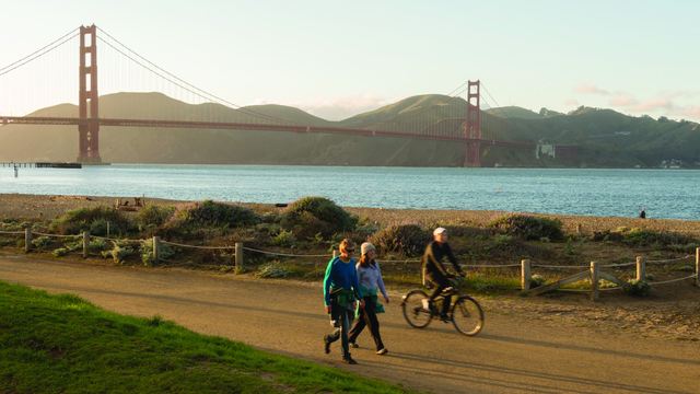 Crissy Field