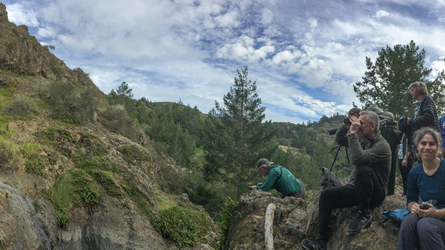 Carson Falls, Mt. Tam