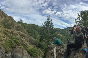 Carson Falls, Mt. Tam