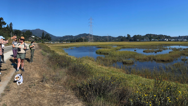 The Mill Valley-Sausalito multi-use path runs through Bothin Marsh