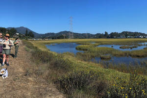 The Mill Valley-Sausalito multi-use path runs through Bothin Marsh