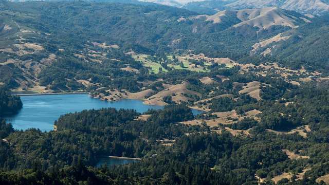 Bird's-eye view of Lake Lagunitas in Marin County.