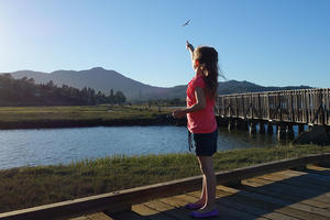 Bothin Marsh