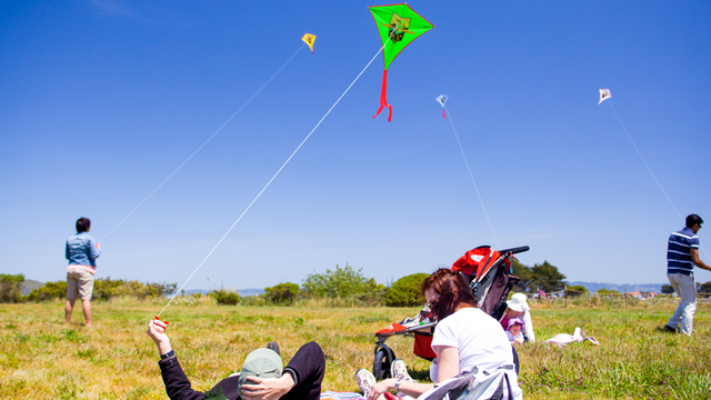 Crissy Field parkgoers enjoy a nice day flying kites on the grassy lawn.