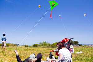 Crissy Field parkgoers enjoy a nice day flying kites on the grassy lawn.