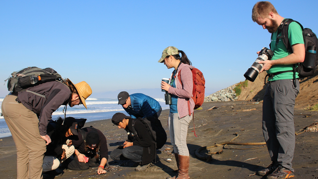 Lands End Coastal Walk with San Francisco Park Stewardship