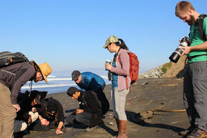 Lands End Coastal Walk with San Francisco Park Stewardship