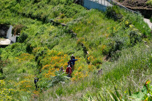 Tourists enjoying Black Point Historic Gardens 
