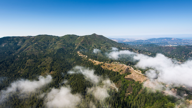 the green outline of Mt. Tamalpais is viewed against a blue sky. The photo is taken at an oblique angle, a trail leads from the bottom right among some white patches of fog.