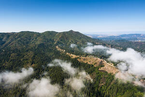 the green outline of Mt. Tamalpais is viewed against a blue sky. The photo is taken at an oblique angle, a trail leads from the bottom right among some white patches of fog.