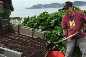 Volunteer on Alcatraz Island