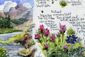 Example of nature journal page layout. 