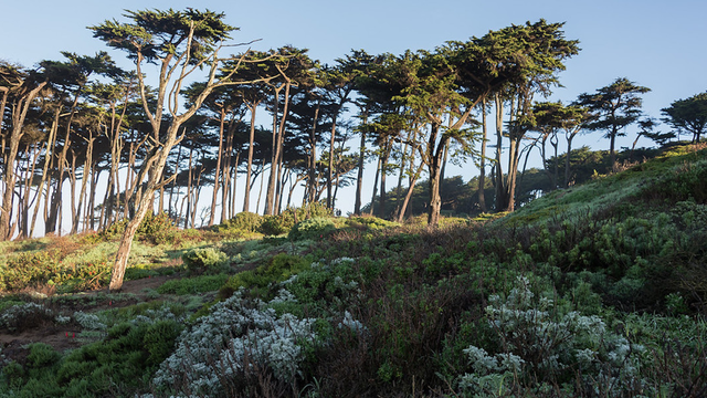 Lands End 