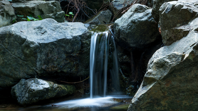 Catract creek, Mt. Tam