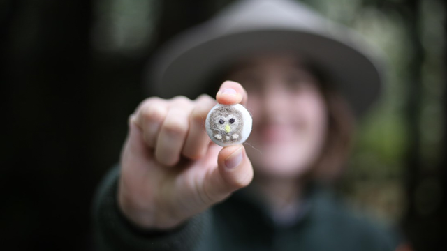 An NPS ranger holding a small handmade felt animal to the camera at Muir Woods