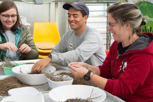 Presidio Nursery volunteers work with seeds