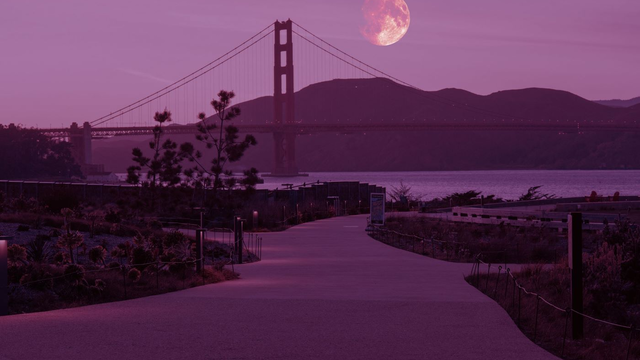 Pink Full Moon at the Presidio Tunnel Tops