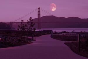 Pink Full Moon at the Presidio Tunnel Tops