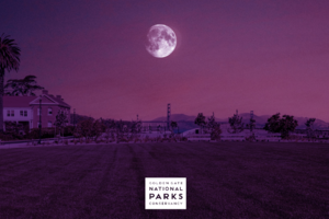 Pink Full Moon Hike and Party Design