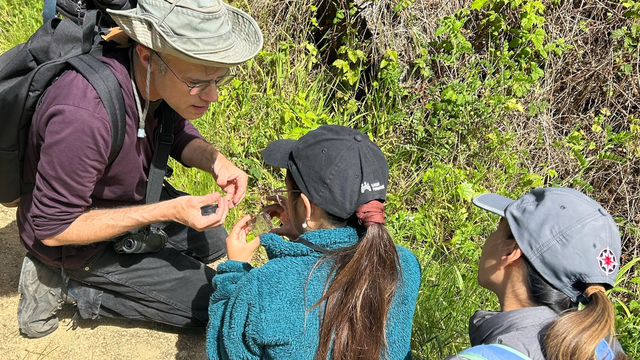 Discovering local flora as part of the City Nature Challenge.