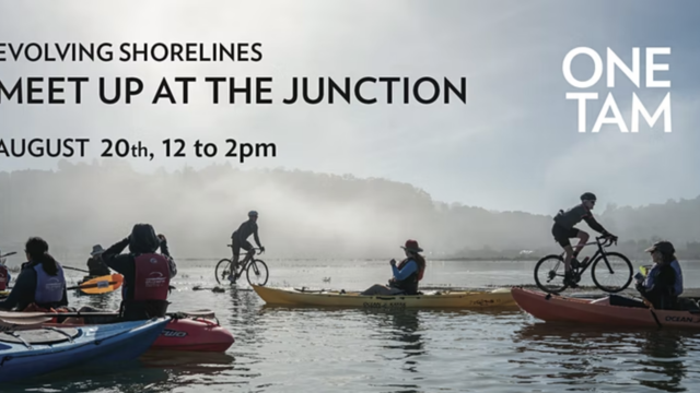 Bikers and kayakers merge along Bothin Marsh's multi-use path at high tide