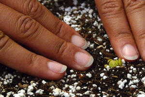 Soil Health Series, Park Academy