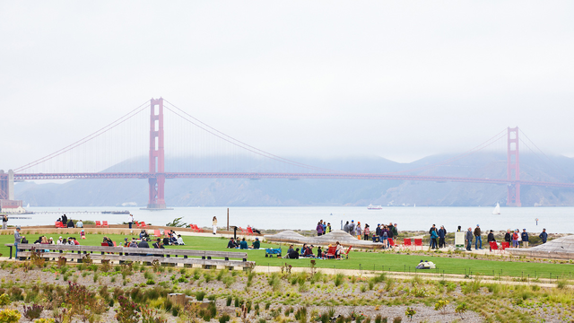 View of Bridge on a foggy day from Presidio Tunnel Tops west lawn