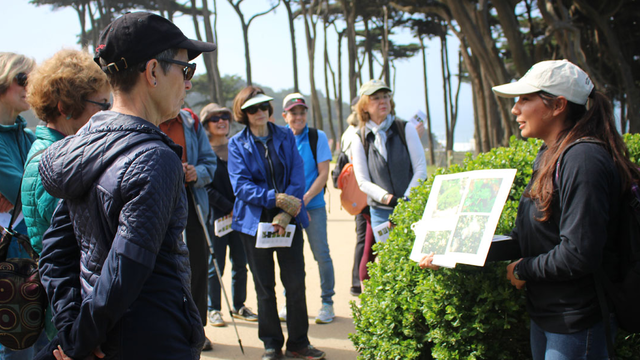 What's the Flower walk with San Francisco Stewardship team