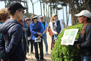What's the Flower walk with San Francisco Stewardship team