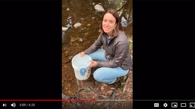 A teacher connected with her students via video for their trout release.