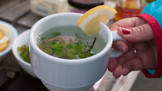 Yerba Buena tea