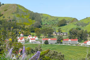 Large purple plants adorn the foreground of a sweeping view of military barracks on a large grassy field