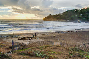 Muir Beach